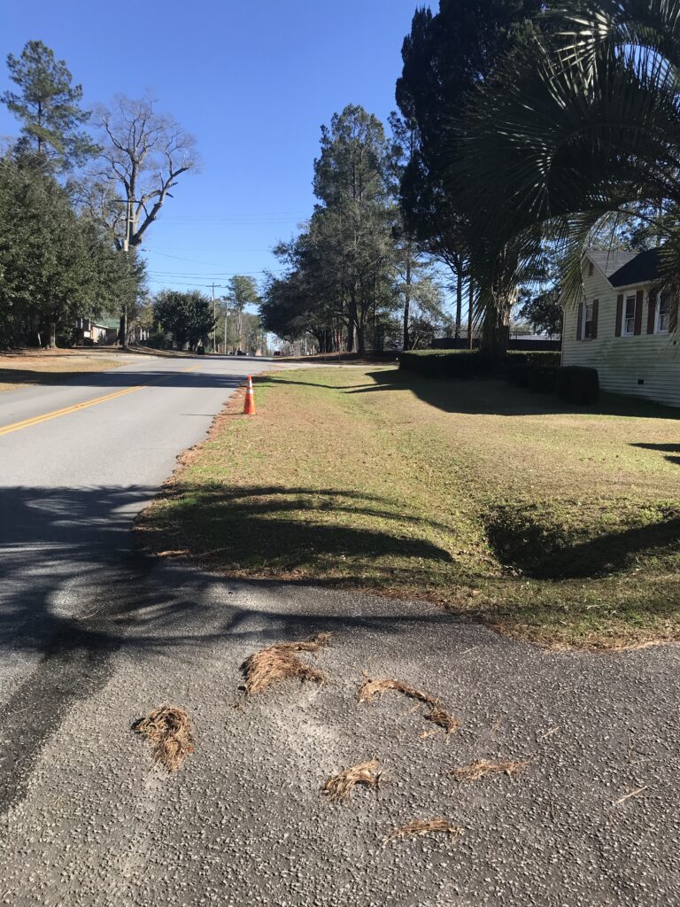 Summerville_W First North Street Sidewalks_1