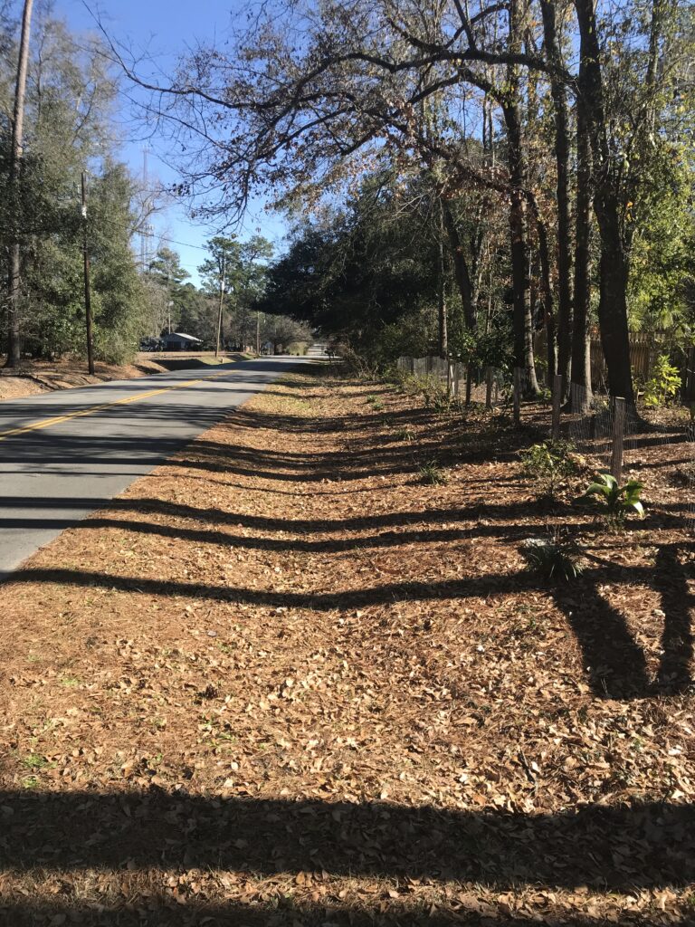 Summerville_W First North Street Sidewalks_2