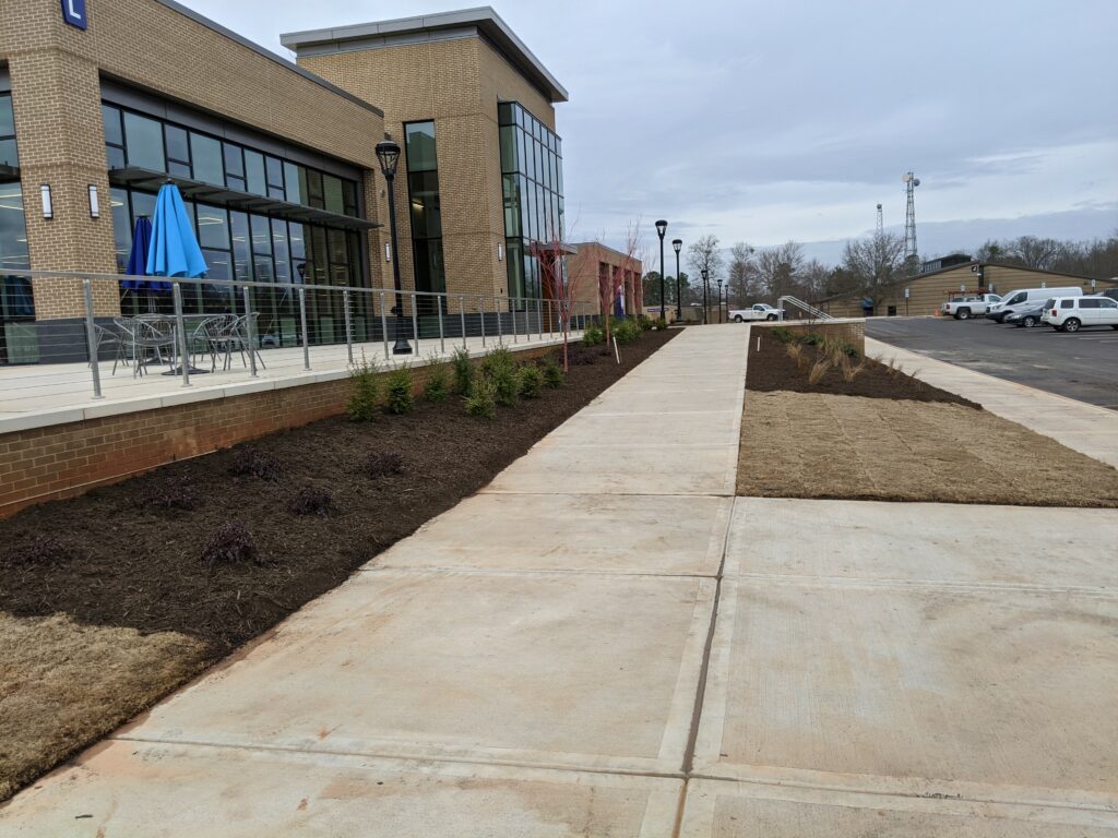 YTC_Learning Commons_1