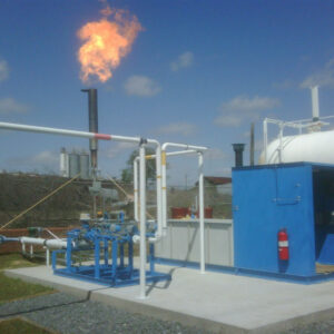 Cordele PS Plant1-20090403